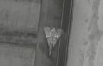 F-14 Tomcat zniszczone 
