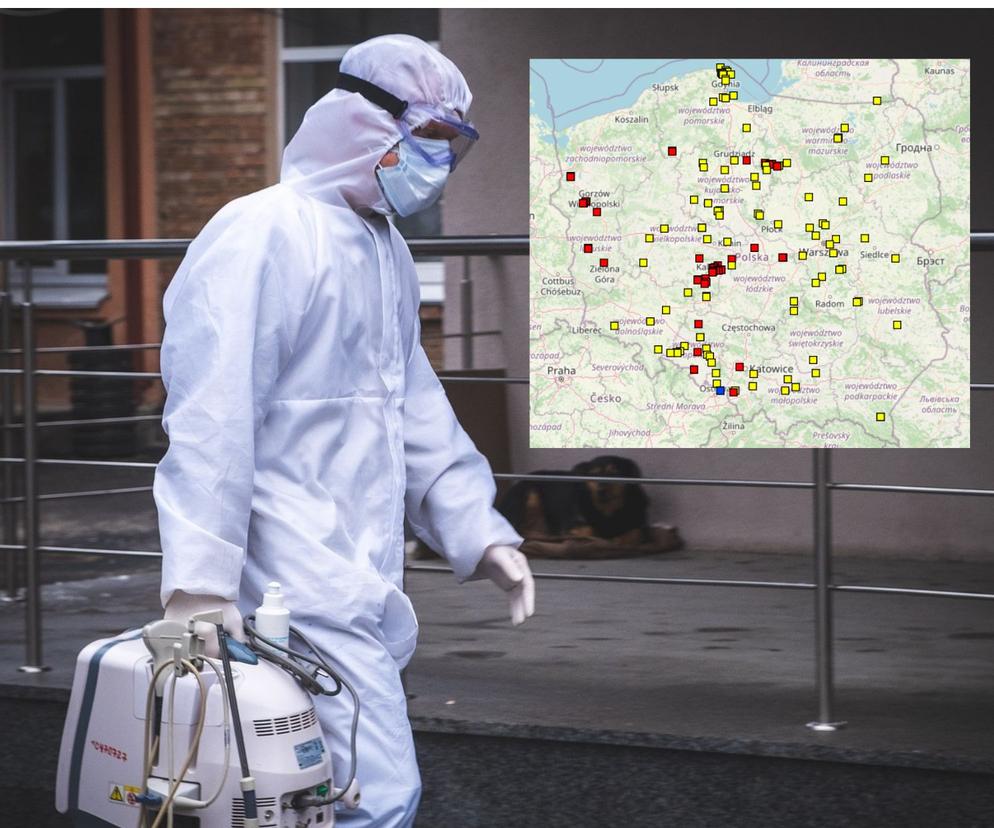 Ptasia grypa w Polsce. W kraju pojawia się coraz więcej ognisk