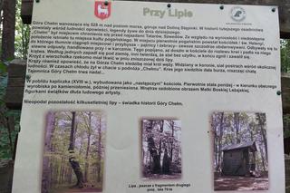 Góra Chełm w powiecie strzyżowskim na Podkarpaciu [GALERIA]