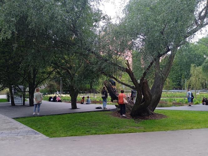 Park centralny w Gdyni. Atrakcje dla dzieci i dorosłych