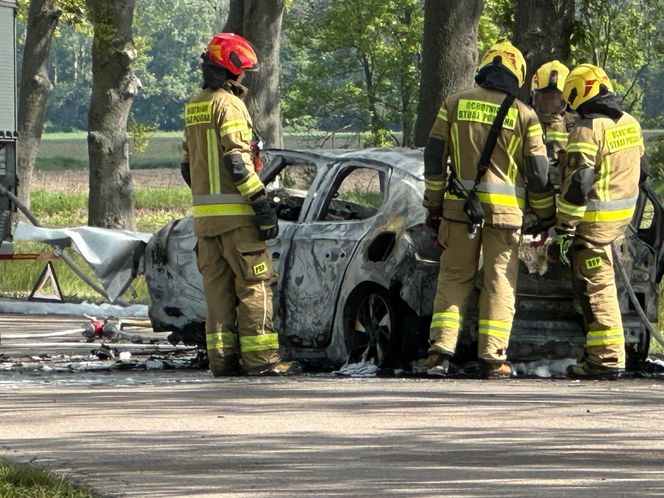 Zwęglone zwłoki w elektrycznym oplu. Samochód uderzył w drzewo i stanął w płomieniach