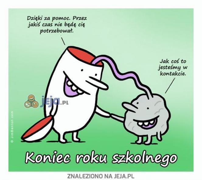 Memy na zakończenie Roku Szkolnego 2023/2024