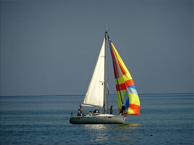Żaglówki