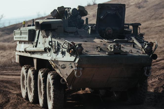 Transporter Stryker na Ukrainie
