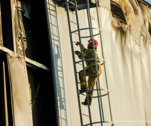  Kawle. Pożar zakładu przetwórstwa drobiowego. 120 strażaków walczy z żywiołem w czwartek, 14 sierpnia. Jeden z nich zaginął [ZDJĘCIA]