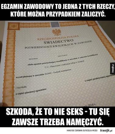 Egzamin zawodowy 2020: MEMY o egzaminie potwierdzającym kwalifikacje zawodowe [ZDJĘCIA]