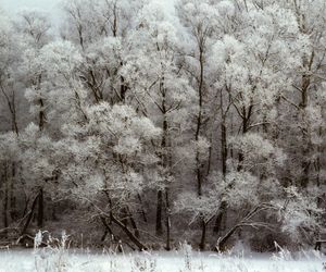 Ferie zimowe nie tylko w górach. Te kierunki także zachwycą zimowymi atrakcjami