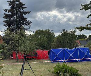Wypadek awionetki w Krzycku Wielkim
