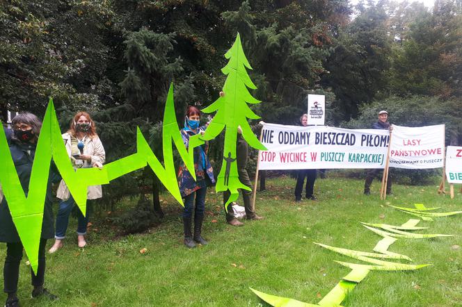 Puszcza piękna naturalnie - krakowscy aktywiści protestowali w obronie Puszczy Karpackiej