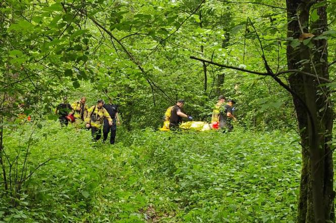Osiedle Wilga. Zaginiona 67-latka przeżyła w lesie 5 dni! Nawet policjanci nie dowierzali [ZDJĘCIA]