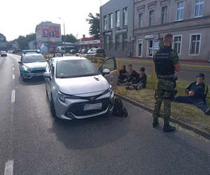 Straż graniczna znów w akcji, dwóch Gruzinów odpowie przed sądem