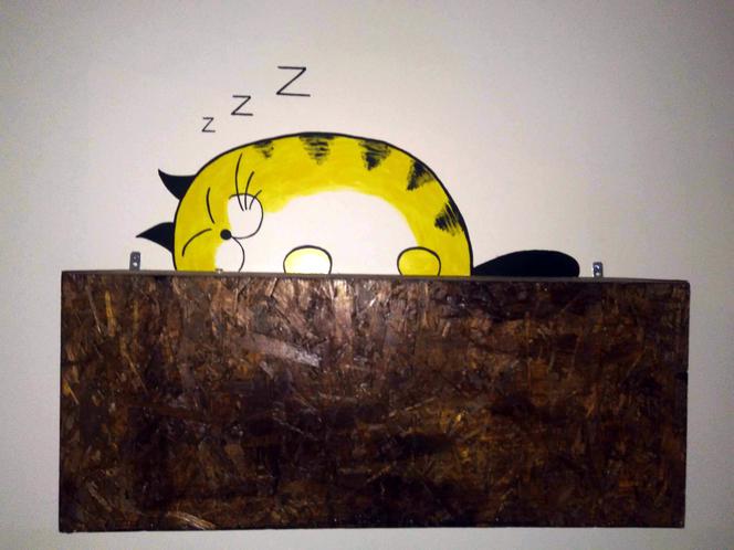 Katowice: Pierwsza na Śląsku Kocia Kawiarnia działa już trzy tygodnie! [ZDJĘCIA]