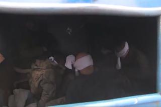 DRASTYCZNE! Rosyjskie BESTIE nie znają litości! Krew, [ZDJĘCIA i WIDEO +18]