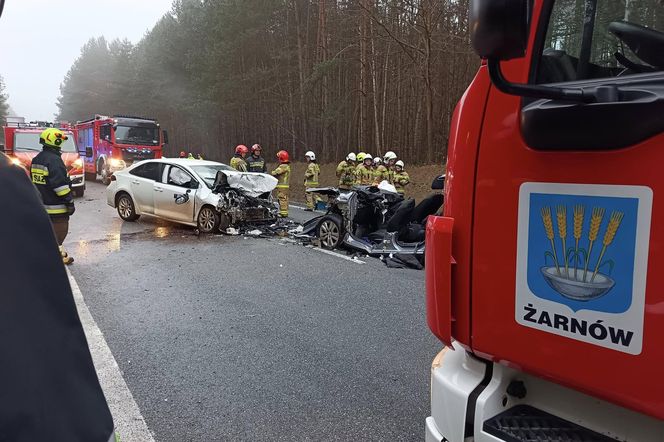 W koszmarnym wypadku na DK74 ucierpiało 6 osób, wśród nich studenci Politechniki Łódzkiej. Pilnie potrzebują krwi