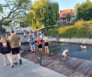 Tłumy bydgoszczan i turystów na Sterze na Bydgoszcz 2025. Emocji dostarczyły Wyścig butelkowy i popisy flyboardzistów [ZDJĘCIA]