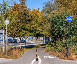 Park linearny na Bielanach w Warszawie