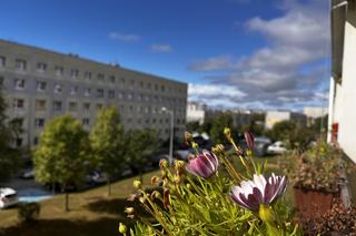 Żory już po deszczu?