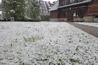 Atak zimy w maju. Śnieg w Zakopanem