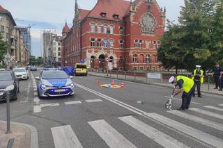 Katowice: 19-letnia Basia zginęła pod kołami autobusu. Rusza proces kierowcy