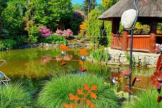 Ogrody Kapias w Goczałkowicach. Tu lato już w pełni