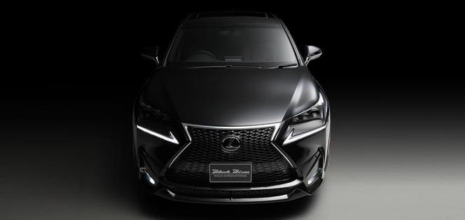 Lexus NX by Wald International