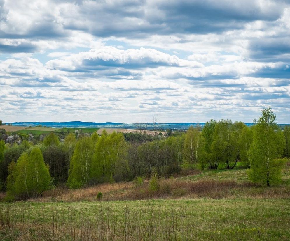 Pięć nowych rezerwatów przyrody na Podkarpaciu. Wiemy, gdzie powstaną