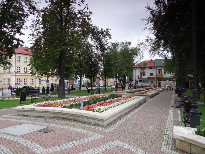 Nisko 