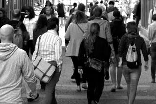 10 najważniejszych liczb dla Zielonej Góry. O tym mogłeś nie wiedzieć 