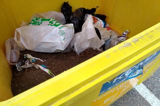 Segregacja śmieci w Kaliszu. Znamy ceny wywozu odpadów w 2020 roku! 