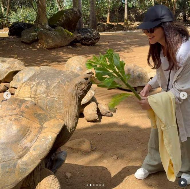 Maciej Orłoś, Paulina Orłoś