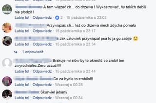  Przywiązali psa do drzewa. Internauci szukali okrutnych właścicieli szczeniaka