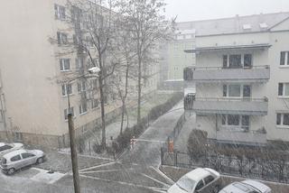 Atak zimy w Toruniu! Utrudnienia dla kierowców 