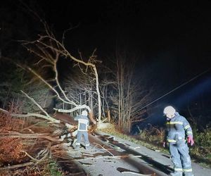 Zerwane dachy i powalone drzewa w Śląskiem. Przez wieczorny wiatr strażacy mieli dużo roboty ZDJĘCIA