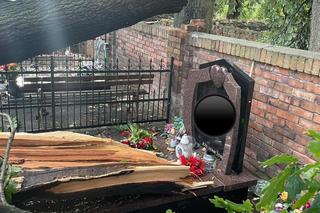 Powalone drzewa zniszczyły cmentarz i miażdżyły samochody