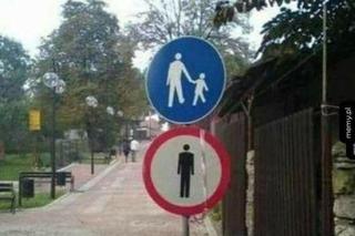 Dzień Singla 2025. Najlepsze memy dla tych, którzy nie świętują Walentynek