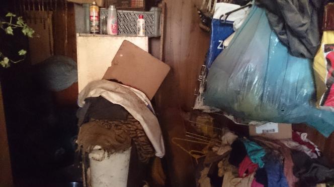 Dom grozy w Łodzi: Dwoje dorosłych i 20 wychudzonych psów żyło w niewyobrażalnym SMRODZIE I SYFIE!