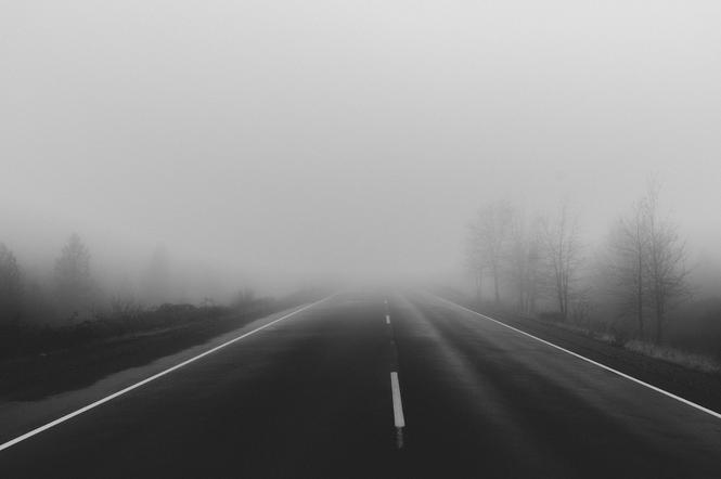 Lubelskie: Gęsta mgła i FATALNE warunki na drogach. CZARNA SERIA wypadków