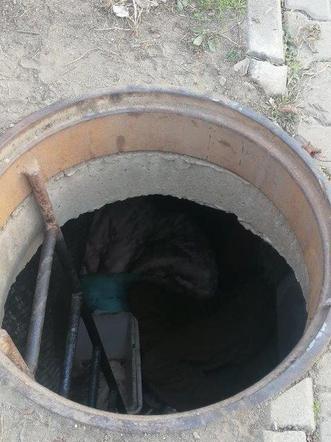 Przez rok żył w studzience ciepłowniczej
