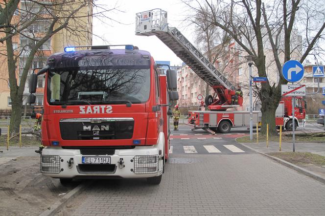 Alert RCB w Łódzkiem! W piątek i w sobotę znów powieje SILNY WIATR!