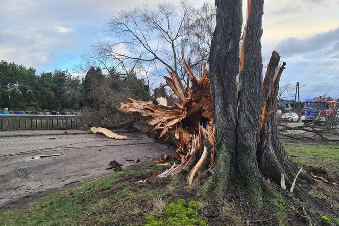 W Lubuskiem znów ogłoszono czerwony alert meteo! Nad Polskę nadciąga niż Eunice