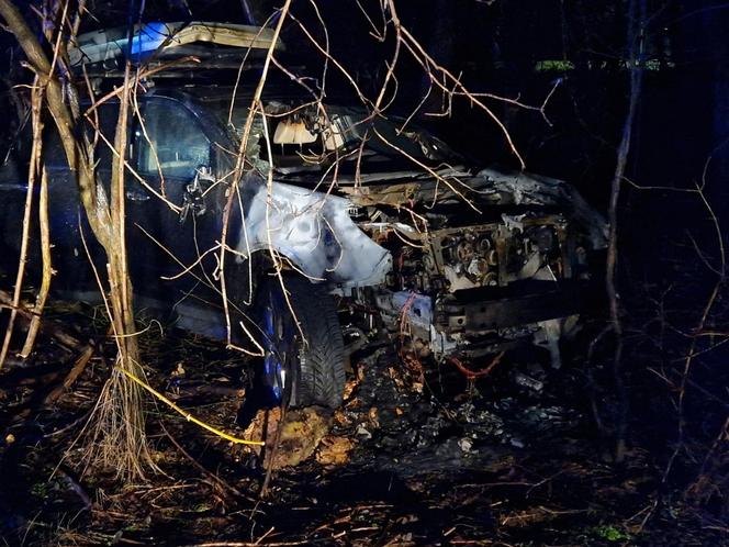 Zjechał z drogi i huknął w drzewo. Jego auto stanęło w płomieniach. Cudem uniknął śmierci