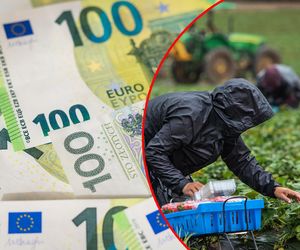 Polacy nie chcą już pracować u Niemca