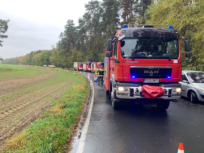 Wypadek na granicy dwóch powiatów. Kobieta uderzyła samochodem w drzewo