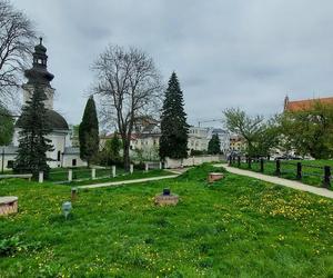 Zamość