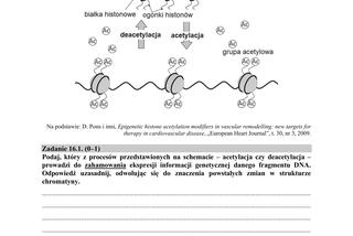 Matura 2018 z biologii [ARKUSZE CKE, ODPOWIEDZI]