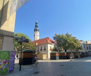 Czy Zielona Góra jest gotowa na Winobranie? Oto jak wygląda miasto na kilka dni przed. Zdjęcia