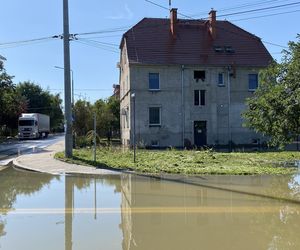 Tak wygląda zalany Lewin Brzeski. Zdjęcia z miasta walczącego z powodzią