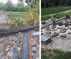 Drzewo runęło na lapidarium w Starym Fordonie. Zapytaliśmy miasto o stan pozostałych drzew na ul. Cechowej