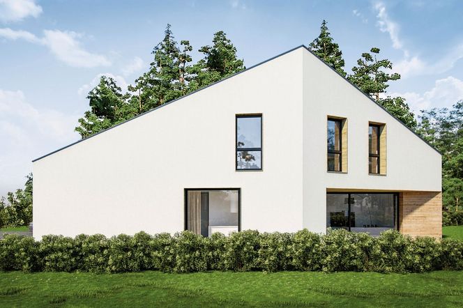 Pomysł na bryłę: nowoczesny projekt domu na planie sześciokąta