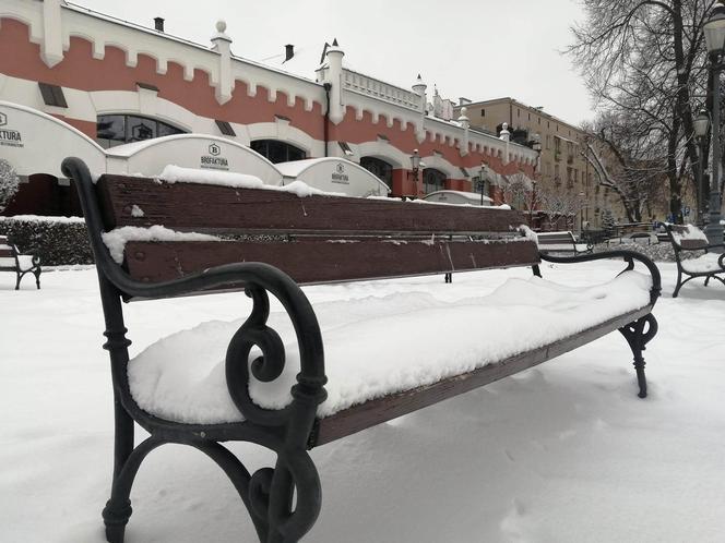 Zimowe klimaty w Siedlcach. Zobacz zdjęcia!